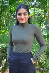 Punarnavi Bhupalam Interview About Pittagoda